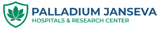 logo-paladium-1-e1769852477457